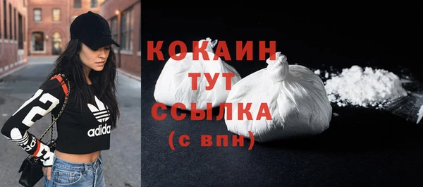 шишки Канск
