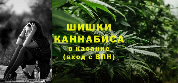 мдпв Тихвин