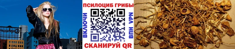 дарк нет формула Чистополь Галлюциногенные грибы Cubensis