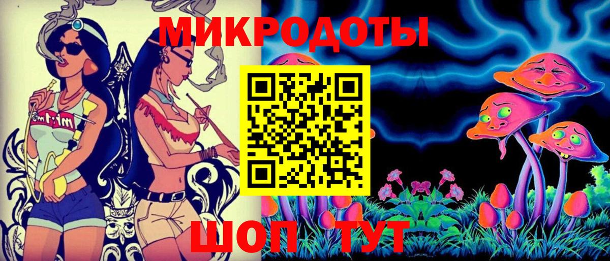 где найти наркотики  Вход с VPN  Чистополь  Псилоцибиновые грибы Psilocybe 